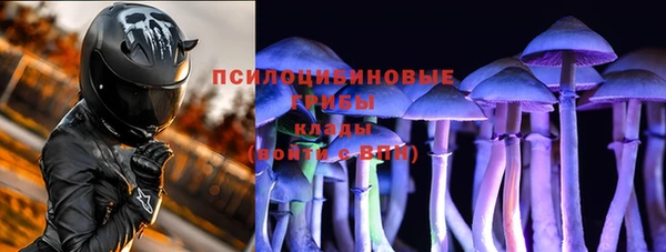 скорость Белокуриха