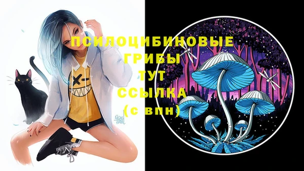 скорость Белокуриха