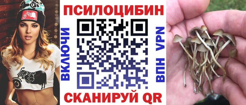 Псилоцибиновые грибы Magic Shrooms  Курчатов 
